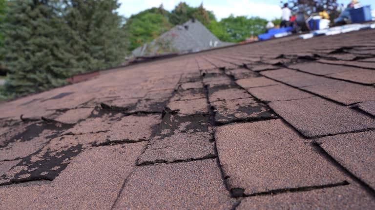 Best Emergency Roof Repair Services  in Kings Beach, CA